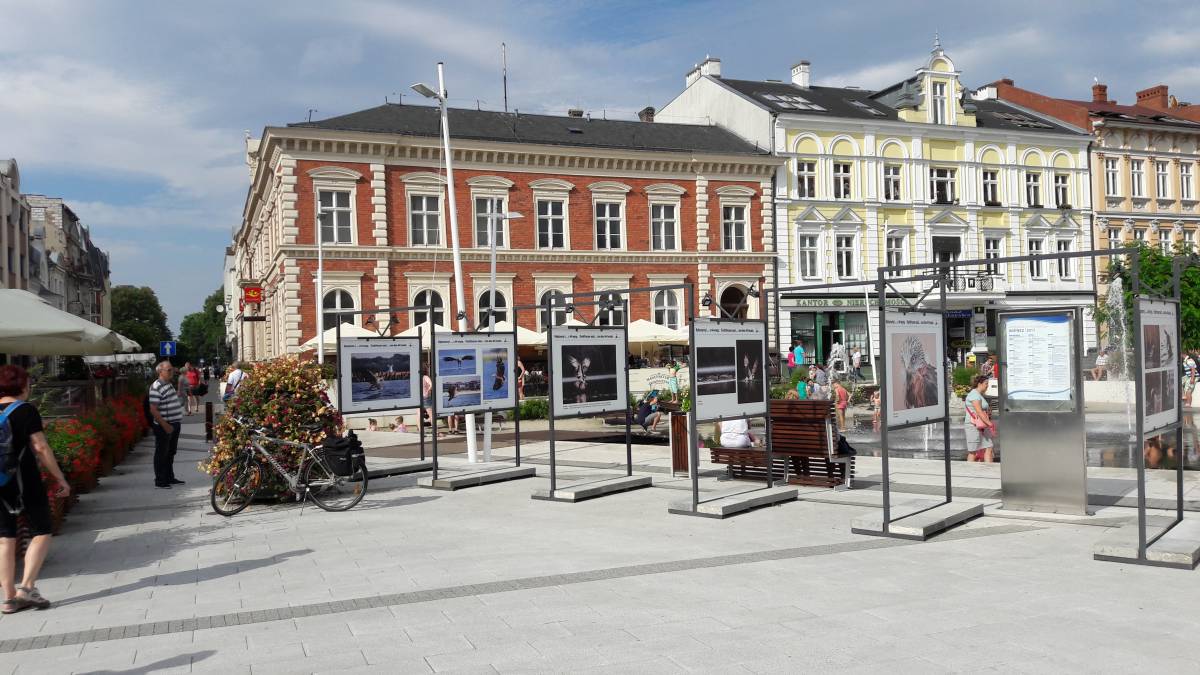 Wystawa foto - rybojady Wystawa foto - rybojady